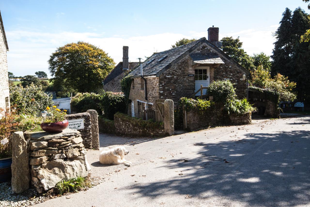 Trenderway Farm Panzió Looe Kültér fotó