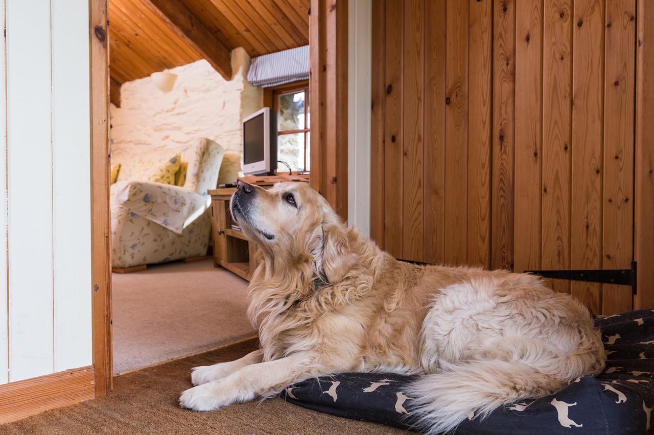 Trenderway Farm Panzió Looe Kültér fotó