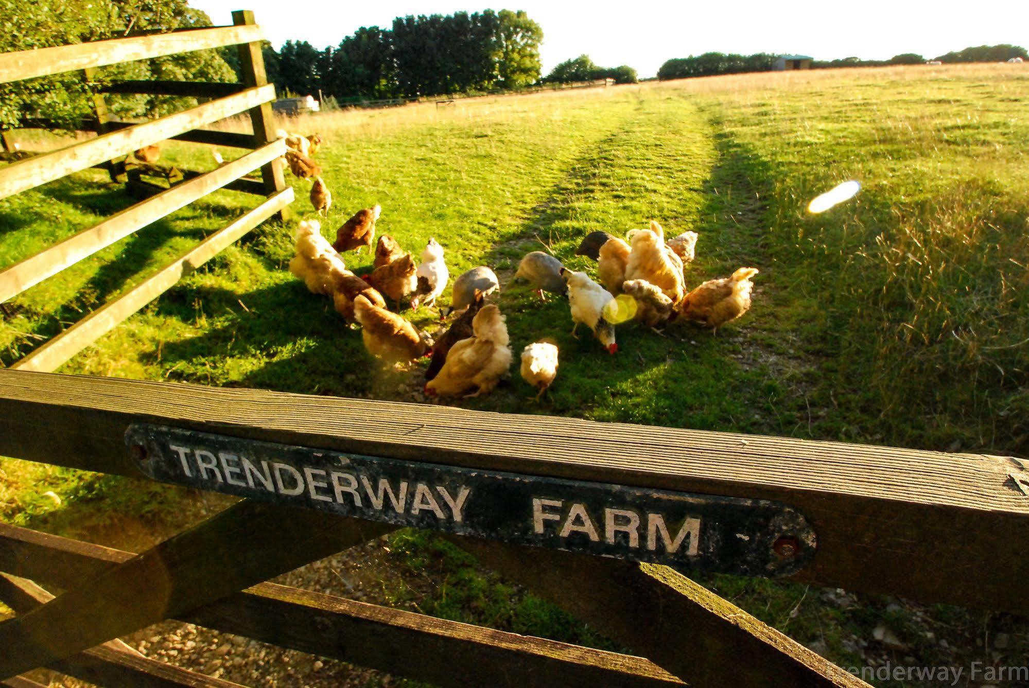 Trenderway Farm Panzió Looe Kültér fotó
