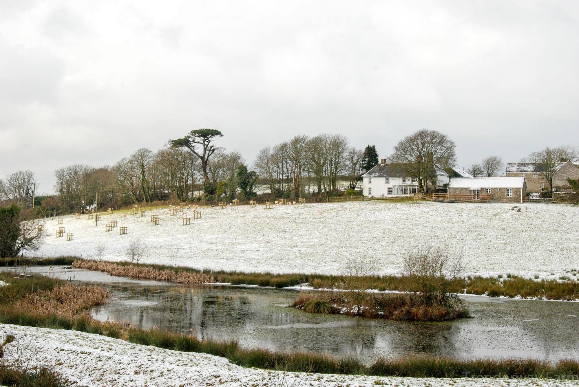Trenderway Farm Panzió Looe Kültér fotó